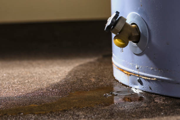 Best Flooded house restoration  in Skidaway Island, GA