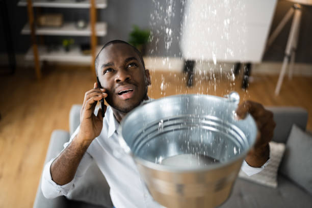 Best Water damage mitigation services  in Skidaway Island, GA