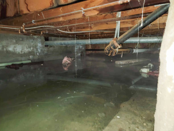 Best Sewage cleanup and water damage restoration  in Skidaway Island, GA