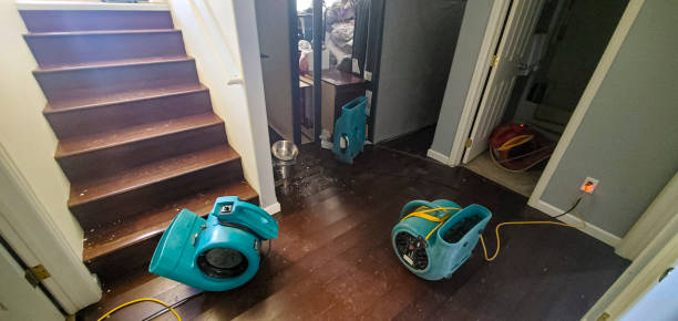Best Basement water damage restoration  in Skidaway Island, GA