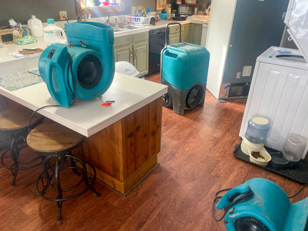 Best Ceiling water damage repair  in Skidaway Island, GA
