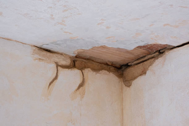 Best Carpet water damage restoration  in Skidaway Island, GA