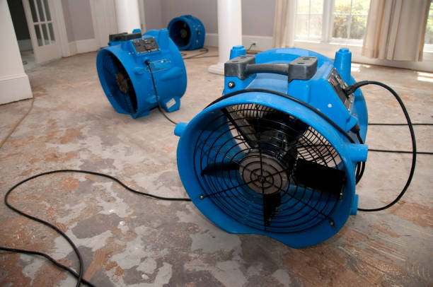 Best Flood damage cleanup  in Skidaway Island, GA