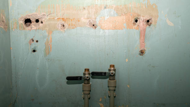 Best Flood restoration services  in Skidaway Island, GA