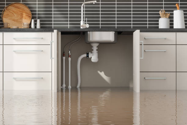 Best Local water damage restoration  in Skidaway Island, GA
