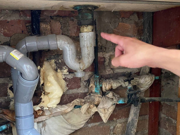 Best Water damage restoration near me  in Skidaway Island, GA