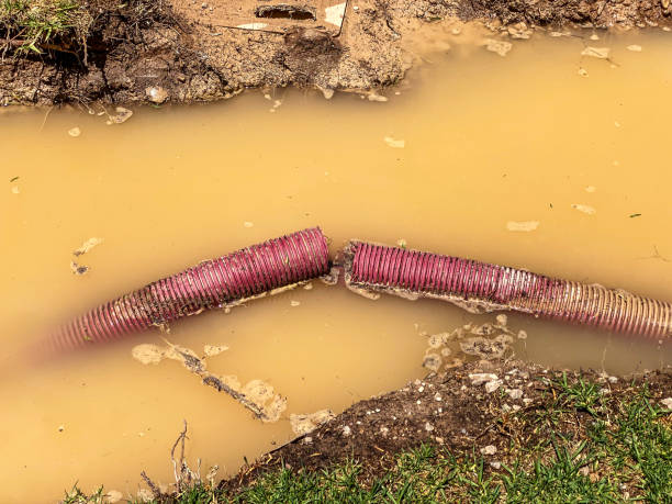 Best Water damage cleanup near me  in Skidaway Island, GA