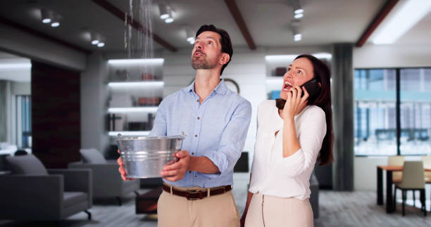 Best 24-hour water damage restoration  in Skidaway Island, GA