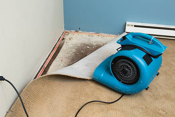 Best Professional water damage repair  in Skidaway Island, GA